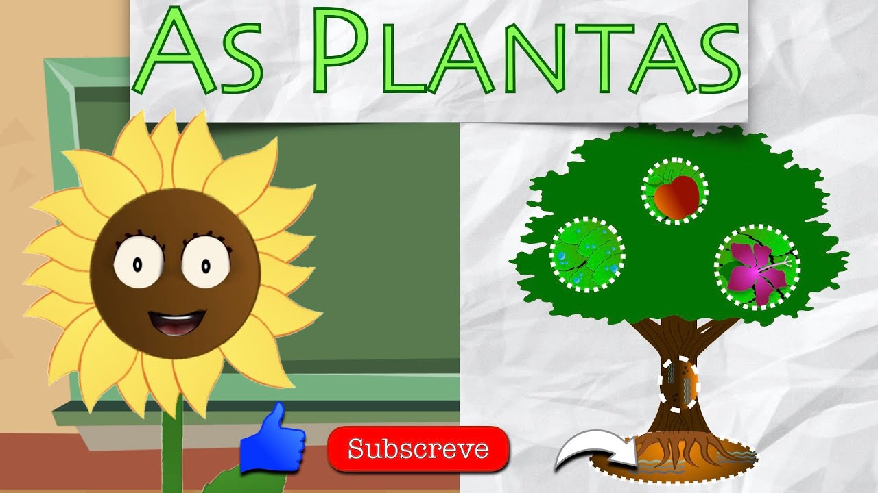 Vamos Aprender...As Plantas (Aula Estudo do Meio de 1º Ciclo, em Português de Portugal)