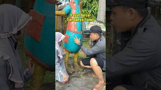 Download lagu Big belly is a sign of pregnancy #magic #sorcery #shortvideo mp3