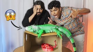 WHATS IN THE BOX CHALLENGE with Bhuvan Bam!