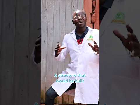 Broiler Chicken Farming broilerchicken poultryfarming chicken poultrymanagement