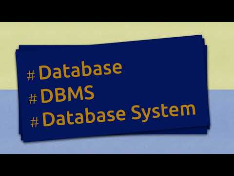 Database Systems vs Database Management Systems: Unpacking the