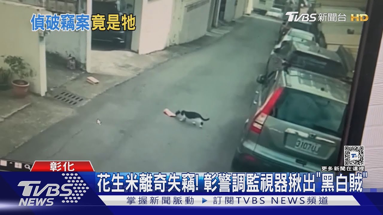 花生米離奇失竊！ 彰警調監視器揪出「黑白賊」