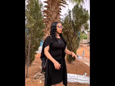 Kan die Here jou stuur