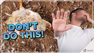 11 Ways To Accidentally Kill Your Chickens