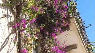 Nana Mouskouri  - A place in my heart.wmv.wmv