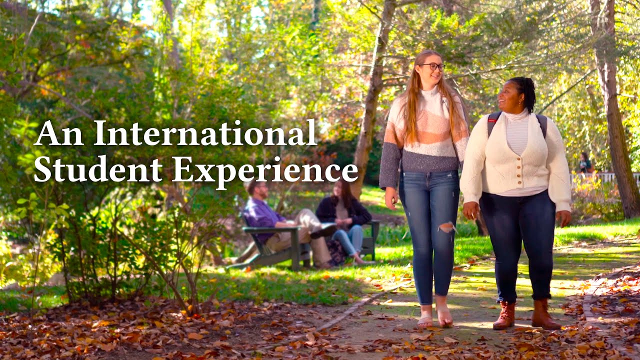 An International Student Experience