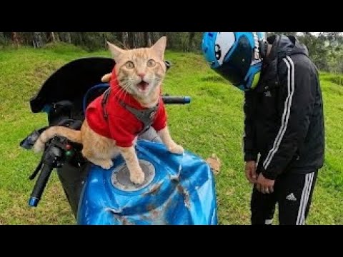 Modificando el tanque de mi moto.