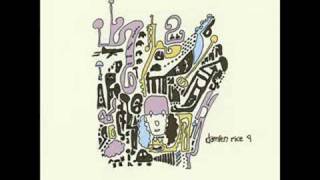 Damien Rice - Coconut Skins (Album 9)