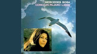 Como Un Pájaro Libre