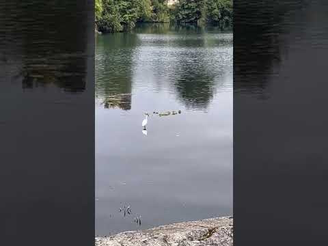 Recorriendo los Lagos de la región de los Lagos