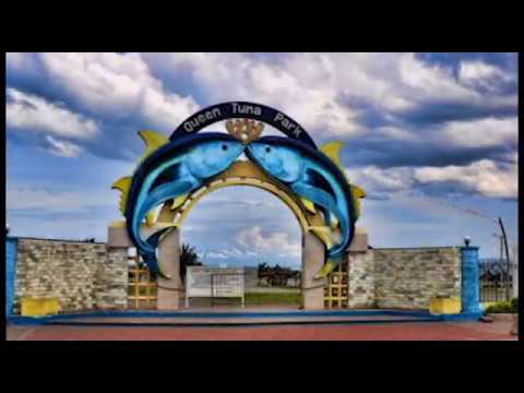 Comentários/Acesso/Horário de funcionamento do Tuna Park｜Ilha Mindanao