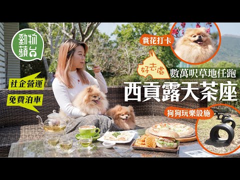 西貢露天茶座景觀開揚 寵物友善必到數萬呎草地任跑兼賞花 #狗狗好去處 #動物蘋台 ─果籽 香港 Apple Daily─原刊日期：20210225