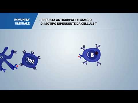 Non è un parassita della persona Lyambliya con definizione di crediti