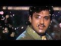 Tumhi Ne Meri Jindagi Kharab Ki Hai Naseeb Lyrics Audio Song