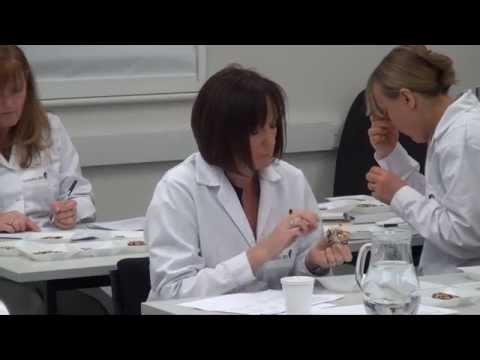 Sensory descriptive panel | Campden BRI