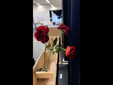 DER DRAMATURG UND DAS BIEST – Probenbeginn