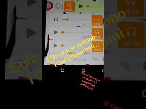 Il Propotamo (Registrazioni divertenti)