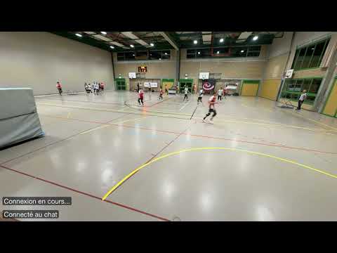 Delémont Blizzard - Geneva Dragons | LNA 2025-2026