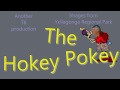 Hokey Pokey Bird dance 