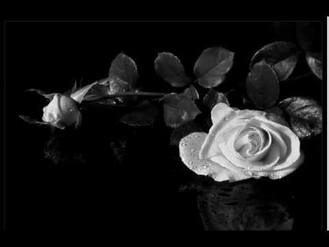 Pac2theO - die Liebe