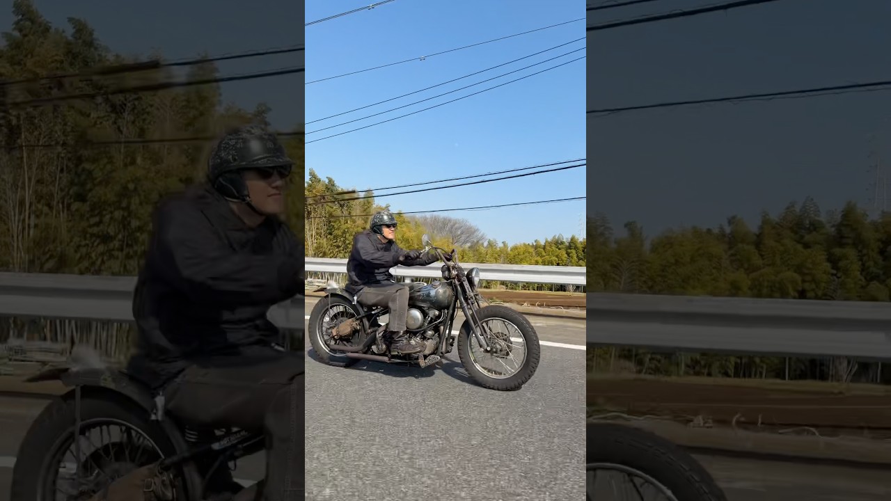 On sight #shorts #harleydavidson #ハーレー