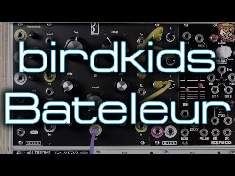 Birdkids TheBateleur 42hp System image 4