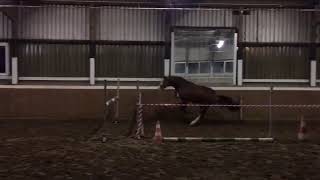 Video of Ekholt's Macan