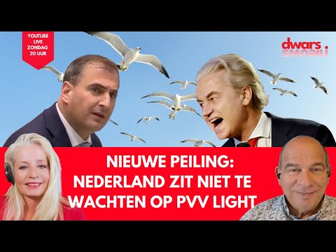 Nieuwe peiling: Nederland zit niet te wachten op PVV-light #DDDP