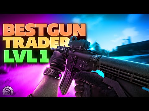 Best Level 1 Guns for Beginners Early Wipe Guide
