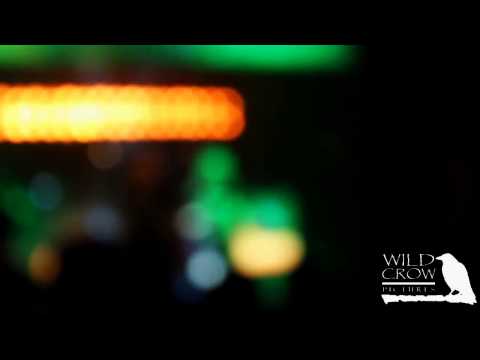 Ege Çubukçu feat. Pamir Saraçoğlu - All Of The Lights