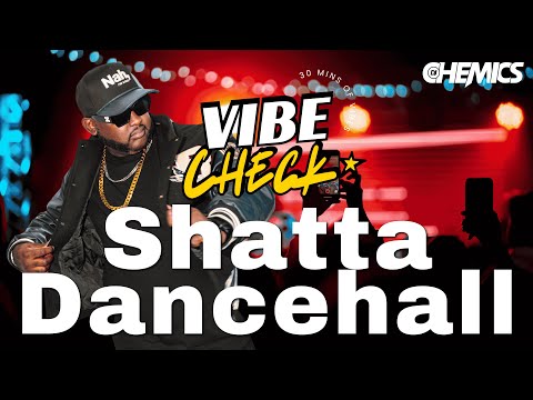 Vibe Check - 30 Mins of Vibes I Shatta Dancehall I Feat. Leftside, Kybba, Kalibwoy @djchemics