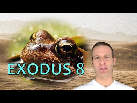 Exodus Chapter 8 Summary And What God Wants From Us