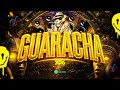 SET GUARACHA ALETEO MIX 2024 EXPLOTA LA FIESTA MIX 2024 2025 Afro Aleteo Guaracha