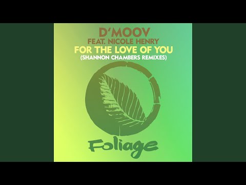 For The Love Of You (Shannon Chambers Remix Edit)
