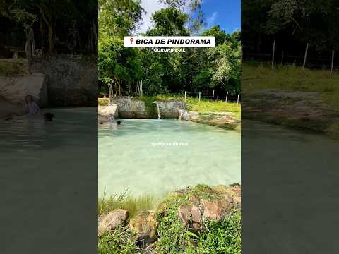 Bica de Pindorama localizado no município de Coruripe em Alagoas ❤️