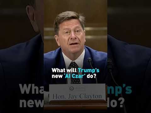 What will Trump's new 'AI Czar' do?