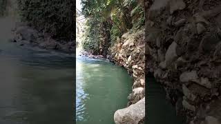 Download lagu #mancing_mahser #soro #tambra 🔥 mp3 Download lagu #mancing_mahser #soro #tambra 🔥 mp3