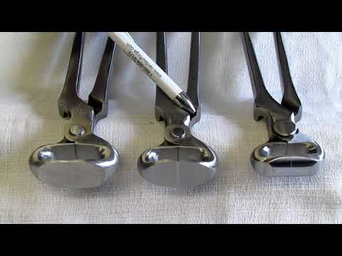 download lagu mp3 mp4 Hoof Nippers, download lagu Hoof Nippers gratis, unduh video klip Hoof Nippers