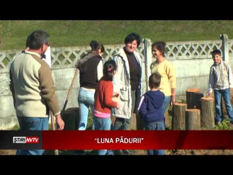 LUNA PADURII