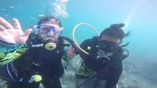 preview picture of video 'Scuba Diving @ Pacman Beach Resort'