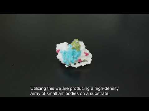 応用生物学課程 Research at Kyoto Institute of Technology Vol. 10 -- Prof. KUMADA Yoichi