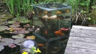 Building a FishTower in the Pond