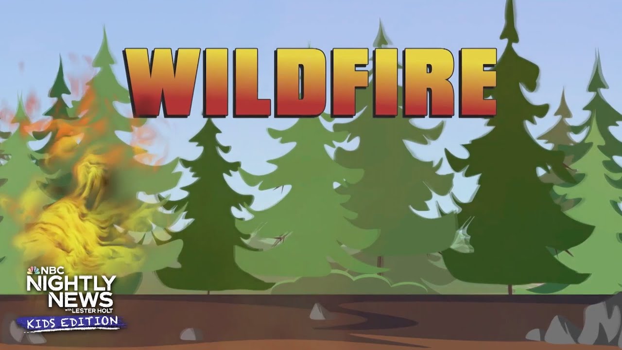 Wildfires explained and what you can do to stay safe | Nightly News: Kids Edition