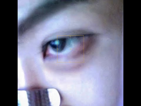 trois - DANI3L (lyrics music video)