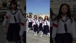 Download lagu TikTok Cewek jepang memang lucu mp3