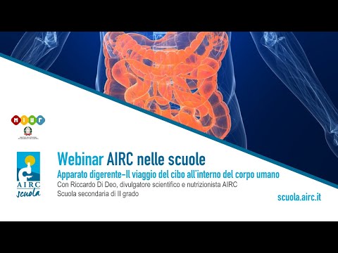 Apparato digerente, webinar con Riccardo Di Deo, divulgatore scientifico e nutrizionista AIRC