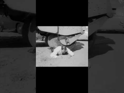 what is a roligan tayer ? ❓/Rolligon tayer kya hai/🤔#sciencefacts  /Fact Zooone