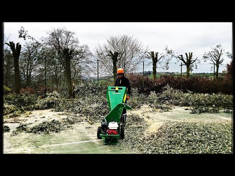 Hansa C7 Wood Chipper - Image 2