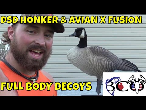 dave smith decoys & avian x axp fusion decoys side by side | bco review |