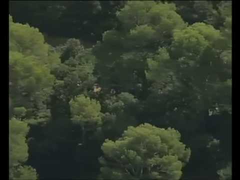 Thumbnail for Aspid at Escornalbou - twitter @Aspid_Cars by Aspid